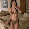 New Internet Celebrity Style Sexy Leopard Print Swimsuit Women's Small Chest Straps Bikini Split Hot Spring Beautiful Vacation Swimsuit
