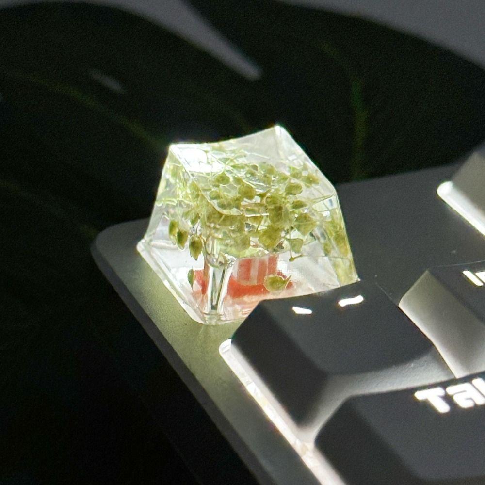 Translucent Mechanical Keyboard Keycap OEM R4 Resin Keycap Dried Flower Keycaps  Cherry MX