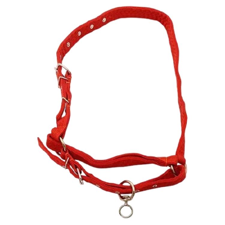

High Quality Livestock Head Collar Showcasing Thickened Canvas Fabric And Corrosion Resistant Metal divisions L