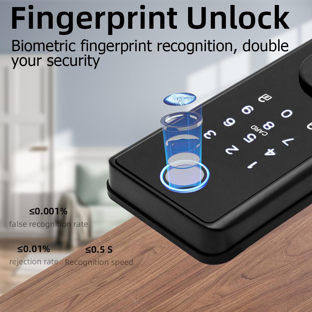 RAYKUBE DS01TTlock Version Smart Lock, Biometric Fingerprint Unlocking, with Wired Door Magnet Automatic Locking