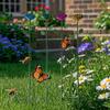 Bee Watering Cups Bee Drinking Cups For Garden Metal Butterfly Bath Watering Bowl With Flower Design For Thirsty Pollinators