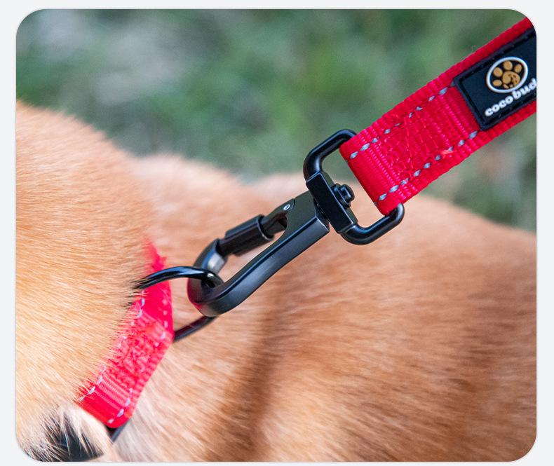 Nylon Short Traction Dog Leash for Medium & Large Dogs