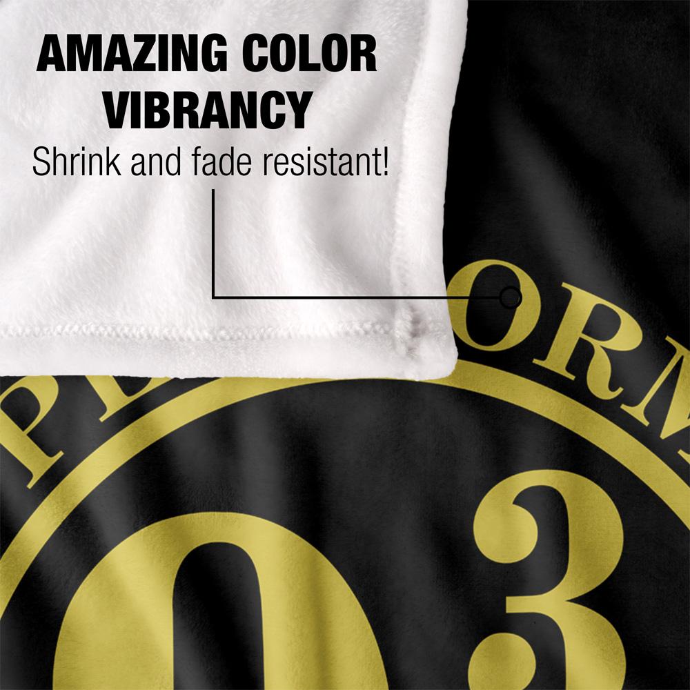 Harry Potter Platform 9 3/4 Blanket