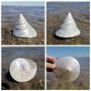Large Conch Seashell Ornament for Wall Decor, Aquarium Aquascaping, and Sea Sound Collection