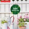 2D Flat 20*20cm1pc March 17 St Patricks Day Green Stripe Cartoon Four Leaf Grass Round Decorative Door Pendant Hanging Welcome Party Wooden Sign Happy