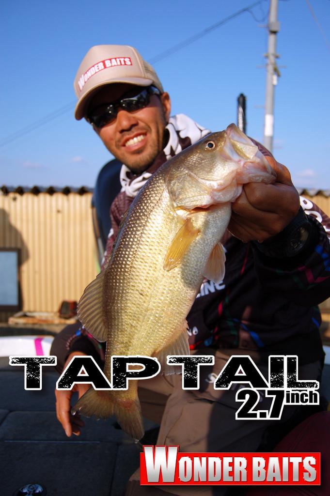 Bait Breath WonderBaits Tap Tail 10pc Muddy Shrimp Lure 2.7" #114