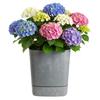 Cubi Recycling Gray Concrete Flowerpot with Stand 34x34