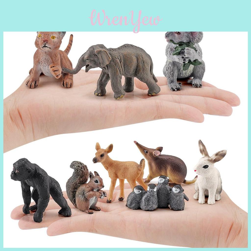 Squirrel Animal Model Set With Pvc Realistic Figures For Educational Play And Collecting Enthusiasts