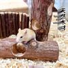 Golden Hamster Tree Stump Hideout Tunnel: Cage Toy & Burrowing Haven