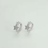 S925 Star Earrings: Niche Design, Lightweight Luxury, High-End Feel, Ear Hoops & Cuffs for Women
