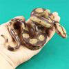 Snake Big Size Animals Models Simulation Python Python Action Figure Snake Toy Python Model Toy