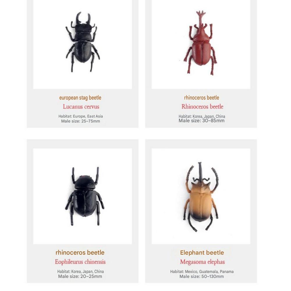 6 Rhinoceros Beetle + 6 Stag Beetle Set Insect Figure Model Toys