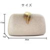 Art Hertz Women's Wedding Bag, Party Bag, Clutch Bag for Everyday Use, and Special Occasions (White) - Small size cannot fit gift envelopes.