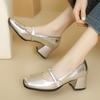 Fashion Elegant Short Heels Mary Janes Shoes Woman Straps Silver Black Heeled Pumps Large Size Office Party Wedding Shoe Ladies Big Size
