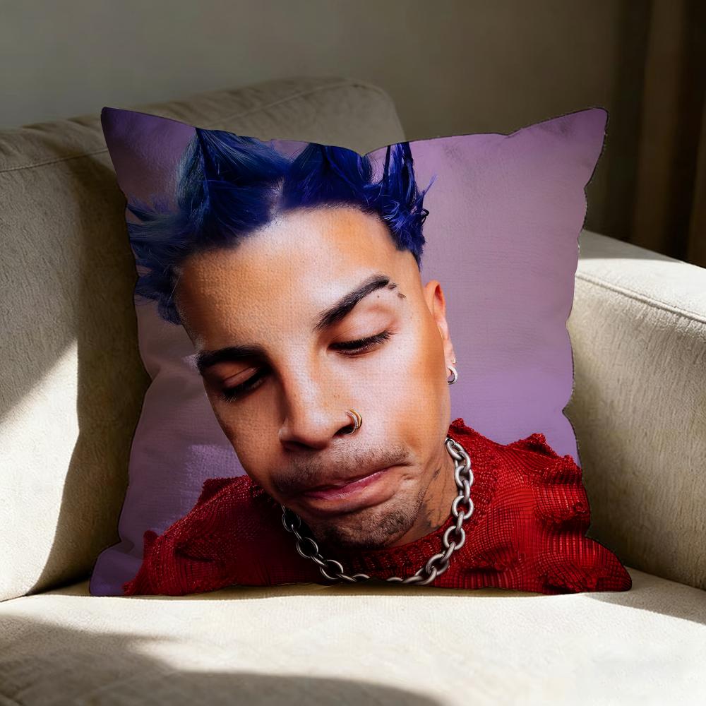 Raul Aalejandro Pillow Case Pillowcase Doublesided Printed Sofa Cushion Bedroom Headboard Pillow