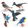 Realistic Plastic Hummingbird Model Perfect For Home Decor And Collectors Ideal For Bird Lovers