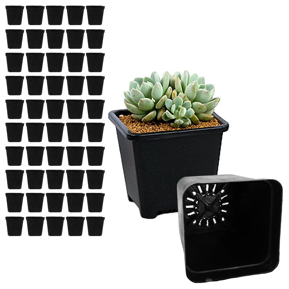 

Плантатор для цветочной рассады, садовый мини-набор с дренажем, большой вместимости, для суккулентов, горшок, кактус, горшок, принадлежности, размер, 50, отверстия, пластик, (XS)
