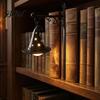 Craft Lantern Decor Halloween Library Lantern, Gothic Decorative Bookshelf Lamp, Vintage LED Unique Gifts for Bookworms Book Nook Light Bookworms,
