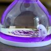 Liquid Motion Timer Decorative Dynamic Cartoon Animals Lovely Satisfying Sensory Oil Drop Timer Home Decoration