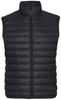 Jacket Jack Wolfskin JWP Vest M (1204653) Black