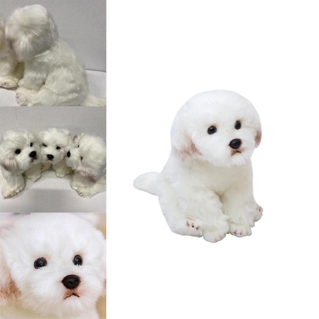 Adorable White Maltese Plush Toy, Fiber Filled, Long Haired Stuffed Animal, 33x24x16cm/38x26x21cm