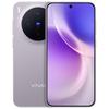 Vivo X300 5G AI Smartphone (CN Version)