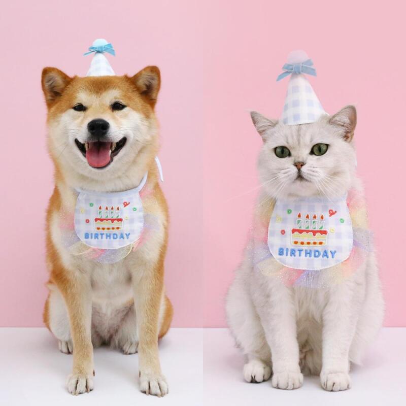 

Pet Cat Dog Birthday Party Hat KK0095 (3) Bora