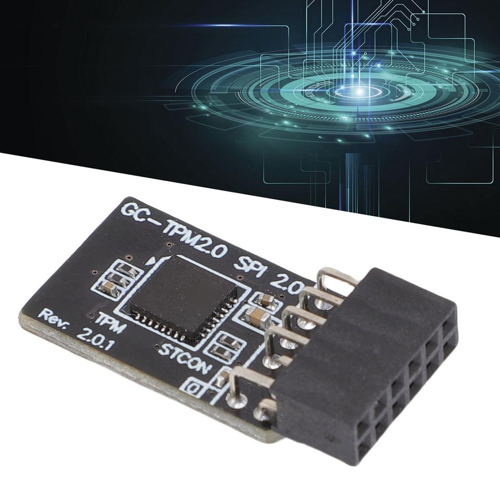 TPM 2.0 Sicherheitsmodul 12-1 Pin Remote Boards Sicherheitsmodul Motherboard SPI Bus Schnittstelle 2,54 mm Abstand