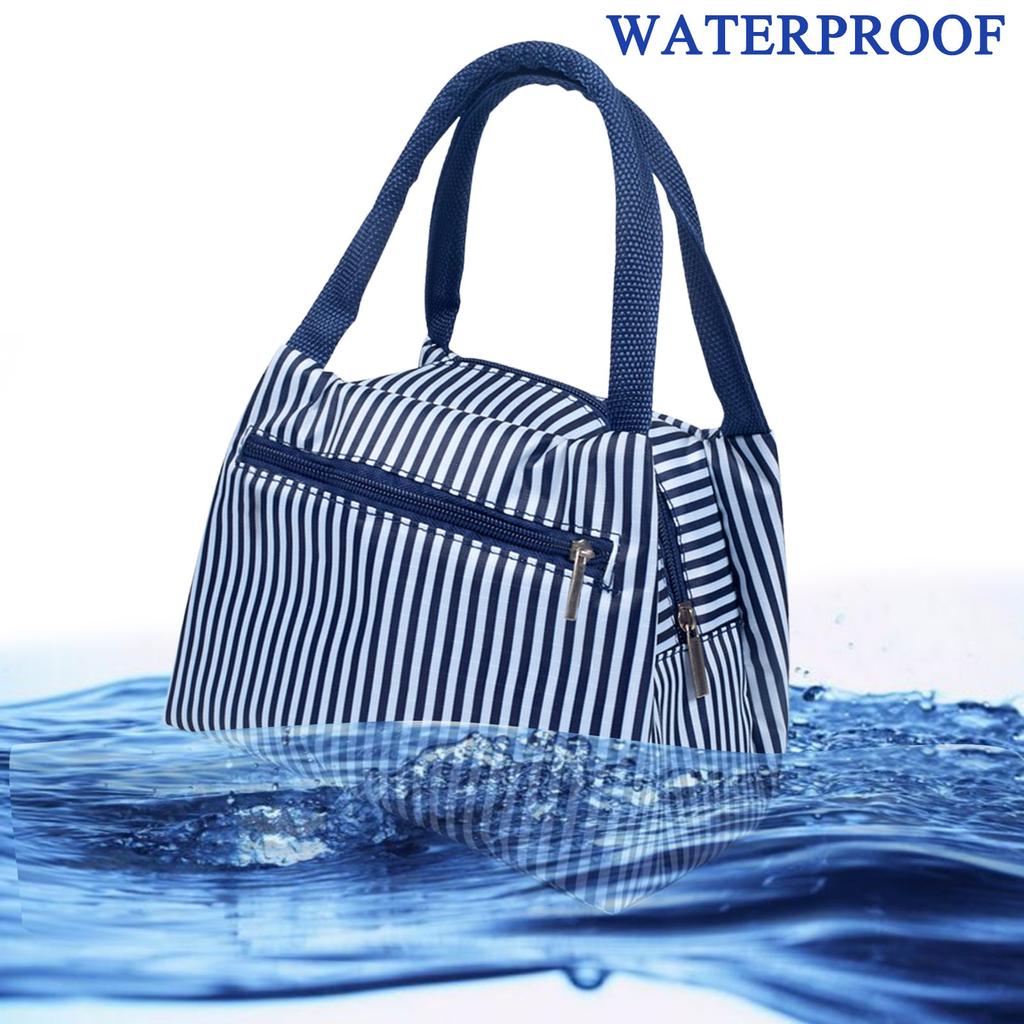 Insulated Picnic Cartoon Carry Case Thermal Portable Cold Lunch Bag Bento bag
