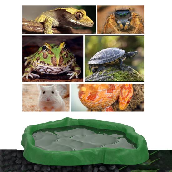 Reptilmater Terrariumskål Skilpaddefôr og Vannmateskål for Skilpadde Øgle Gekko Skjeggagam