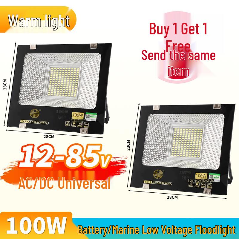 Yaming Marine LED Floodlight: 100W Outdoor Waterproof Spotlight for 12V/24V/36V DC Battery