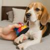 Replaceable Pet Nail File Set Grind Quickly Cat Claw Grinder Dog Grinding Paw Tool  Household