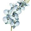 1 Pc Charming Decorative Lifeful Fadeless Floral Arrangement Artificial Flower Fake Flower