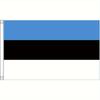 2D Flat - 2D Flat, 1pc Large 91.44X152.4 cm/121.92X182.88 cm TREN TECH Greek Letter Banner - Heavy Duty Outdoor Decor, with Red And Black Letters, Dur