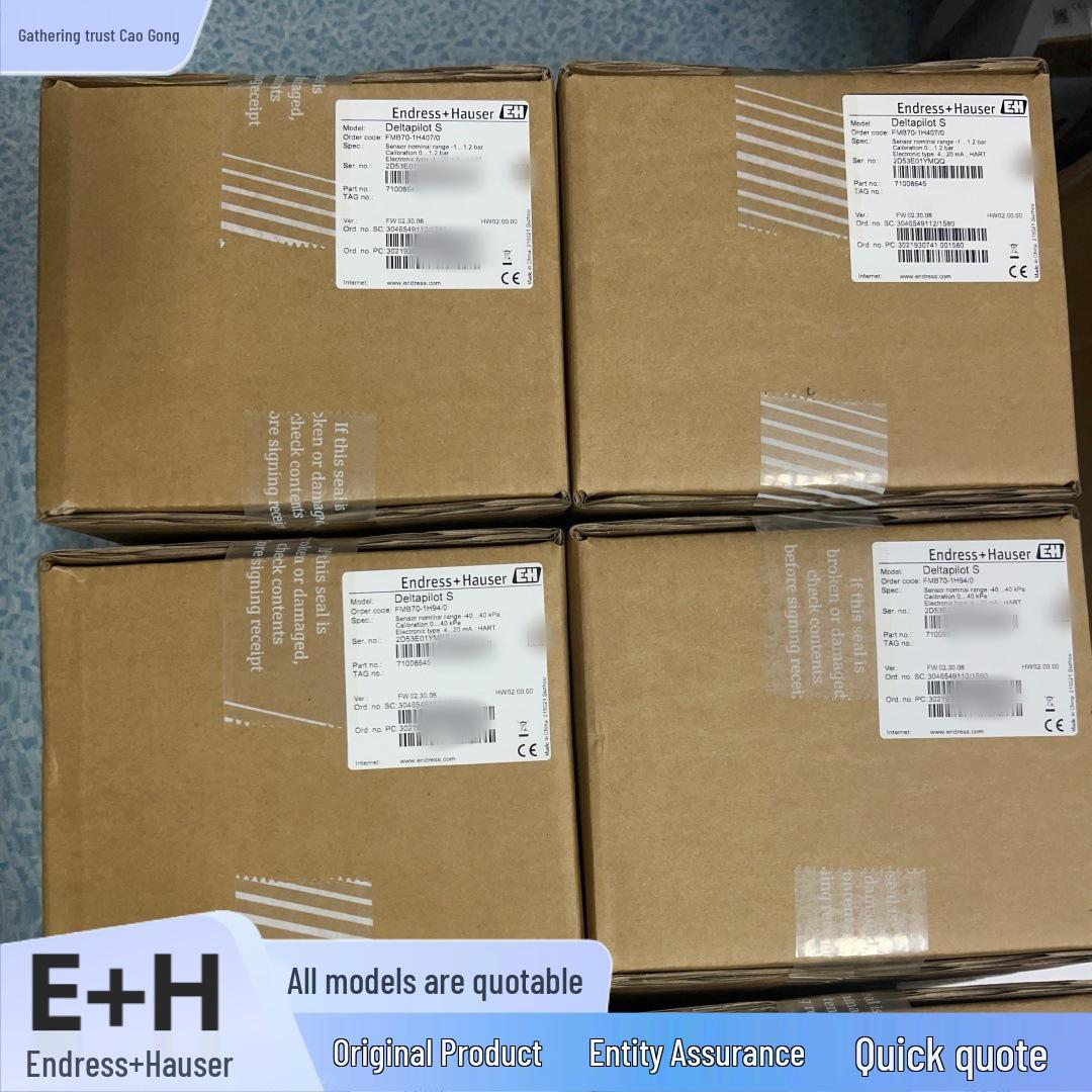 

FTL33-1369/0 Endress+Hauser Tuning Fork Level Switch FTL33 Available Now