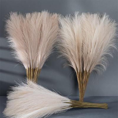 55CM 5/10/20 adet kabarık Pampas çim Boho dekor çiçek sahte bitki kamış simüle düğün parti ev dekorasyon yapay çiçekler