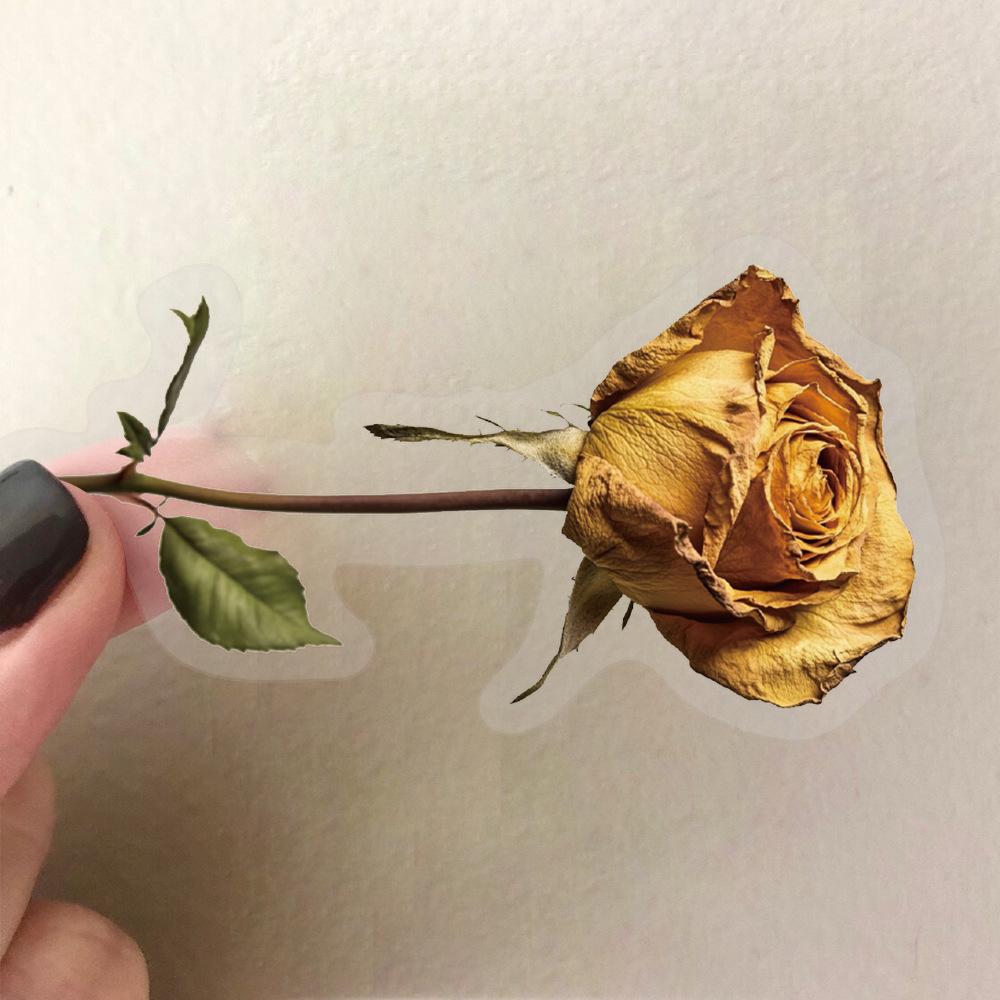 50 Transparent Dry Flowers Sticker Pack Waterproof Transparent PET Manual Material Decorative Guitar Notebook
