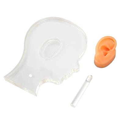 Silicone Right Ear Model with Acrylic Stand Hearing Equipment Display Board for Pharmacy Hospital