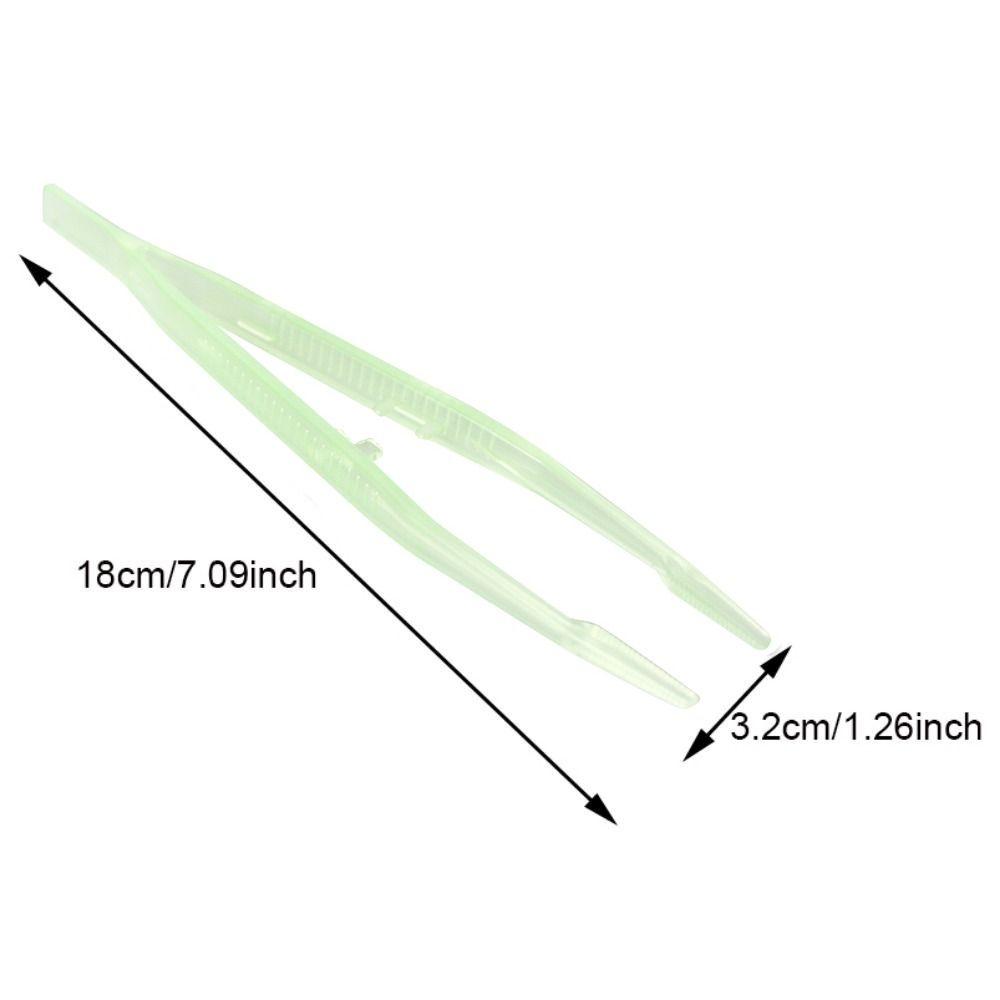 Anti-static Straight Tweezer Animal Feeder Clamp Reptile Feeding Tweezer Tortoise Feeding Tongs