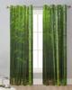 Bamboo Forest Green Sheer Curtains for Living Room Decoration Window Curtains for Kitchen Tulle Voile Organza Curtains