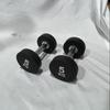 Round Head Rubber Coated Dumbbell