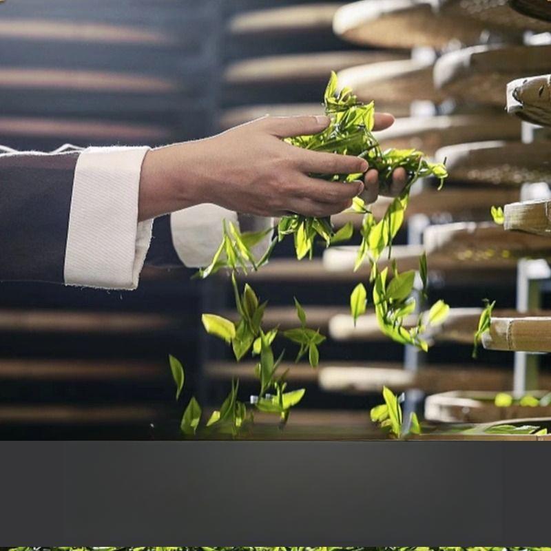 Taiwanský černý oolong čaj 2025 Nový Dong Ding Vysokohorský Voňavý