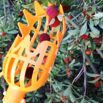 Obstpflücker Werkzeug Obsterntekorb mit Zähnen Leichtgewichtiges Obstpflückwerkzeug vom Boden