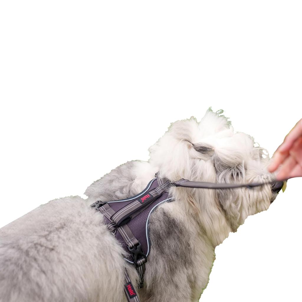 Halti Szelki anatomiczne dla psa