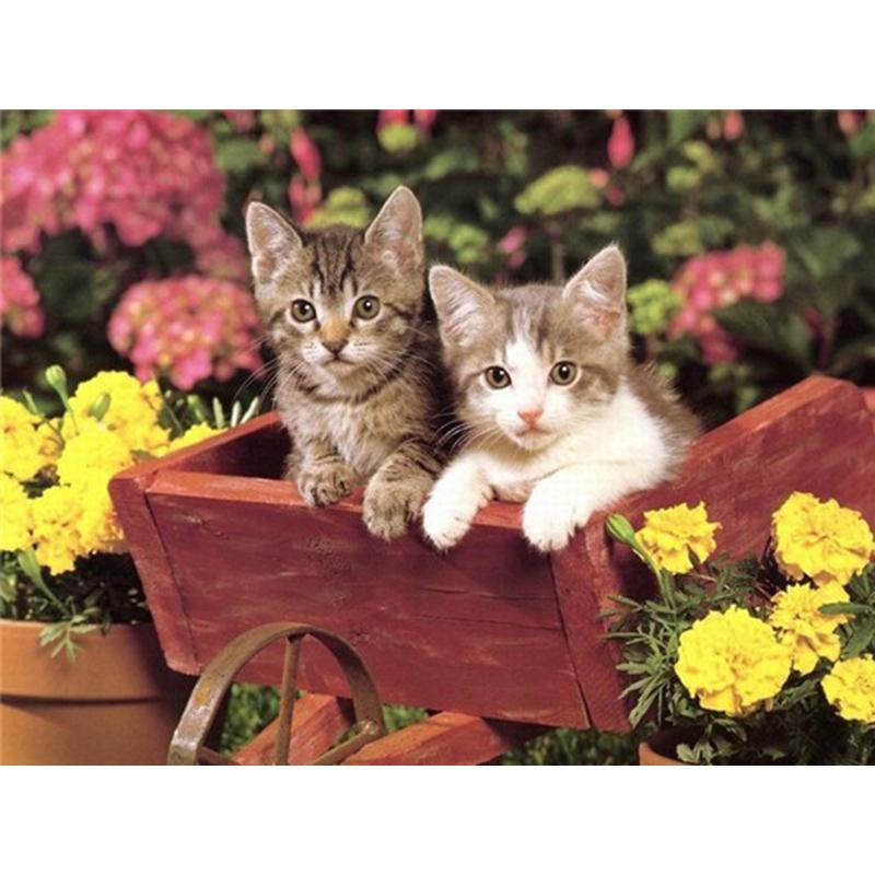 Flower DIY 5D Diamond Painting Full Round Drill Cat Diamond Embroidery Animal Cross Stitch Mosaic Rhinestones Art Handwork Gift