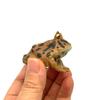 1Pcs Hand Painted Amphibious Animal Figurine Educational Realistic Toad Frog Figure Rubber Animal Model Toy For Kids