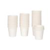 Disposable Paper Tasting Sample Cups