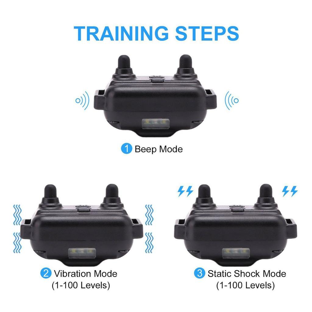 electronic dog training