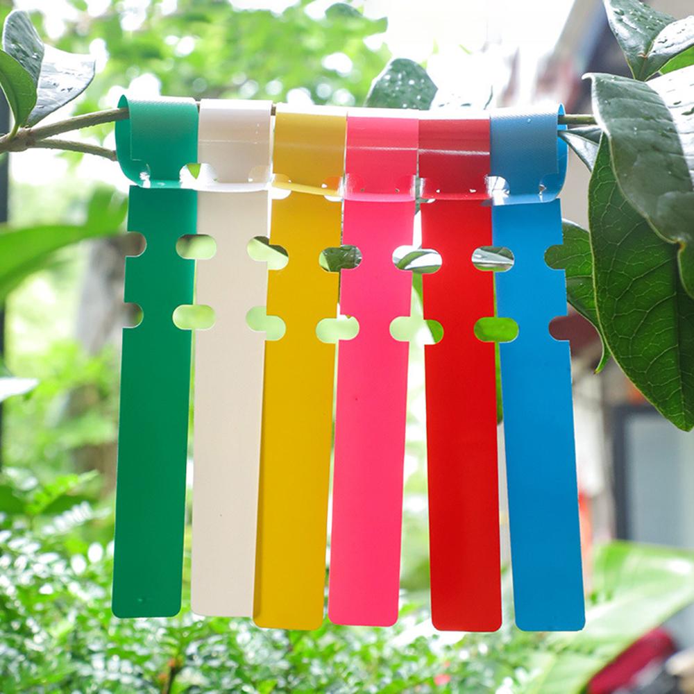 100PCS Pvc Waterproof Ring For Flower Plant Labels, Seedlings, Orchids, Garden Floral Markers, Plastic Signboards
