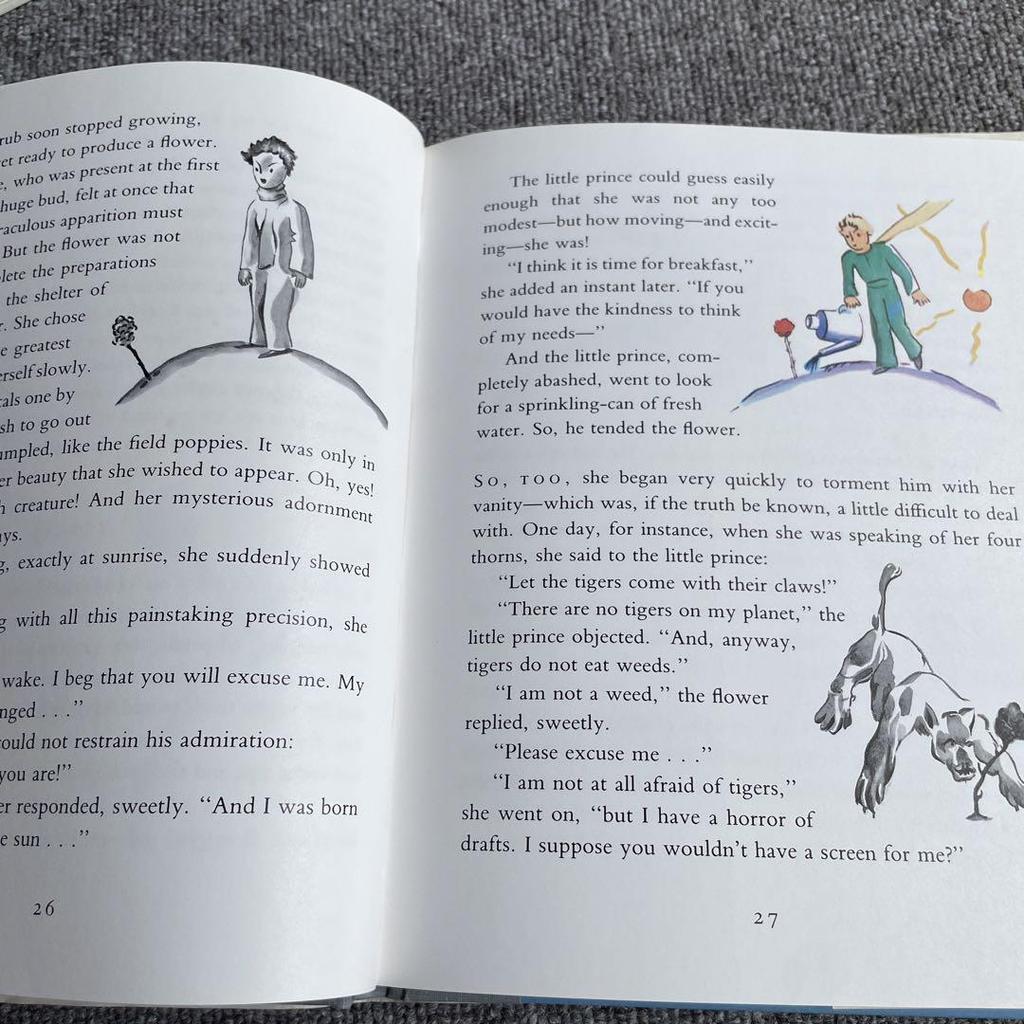 [USED] English Picture Book Set